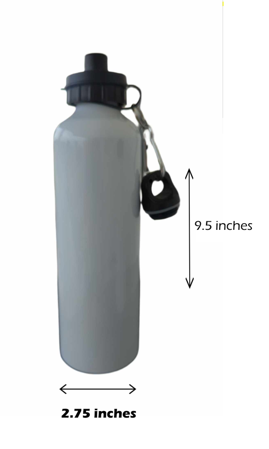 30 oz Stainless Steel Water Bottle
